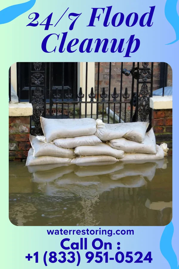 24/7 Flood Cleanup in Patton Village, TX
