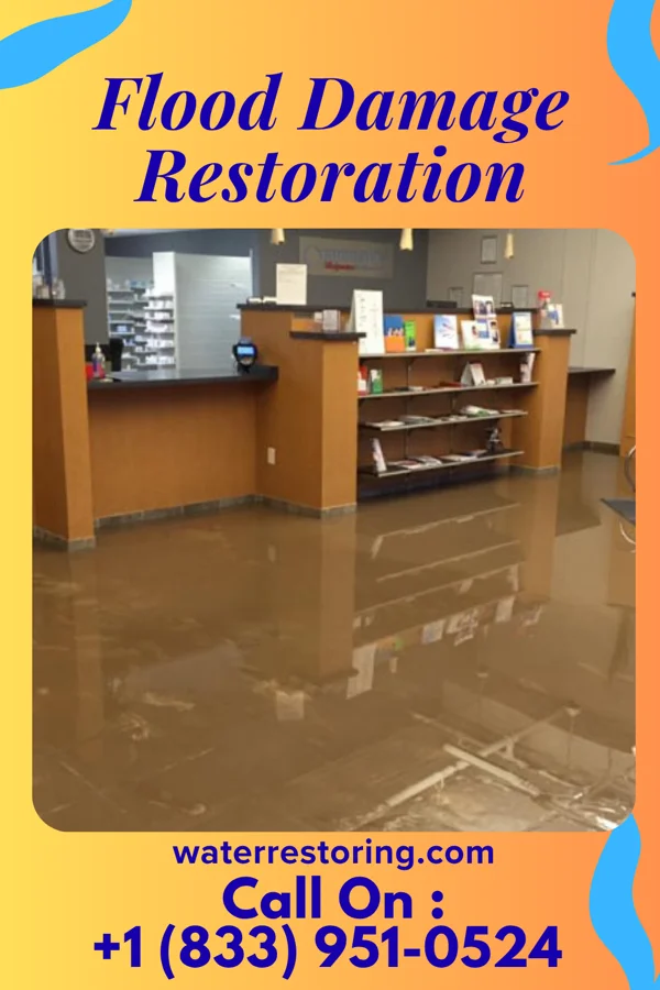 Flood Damage Restoration in Patton Village, TX