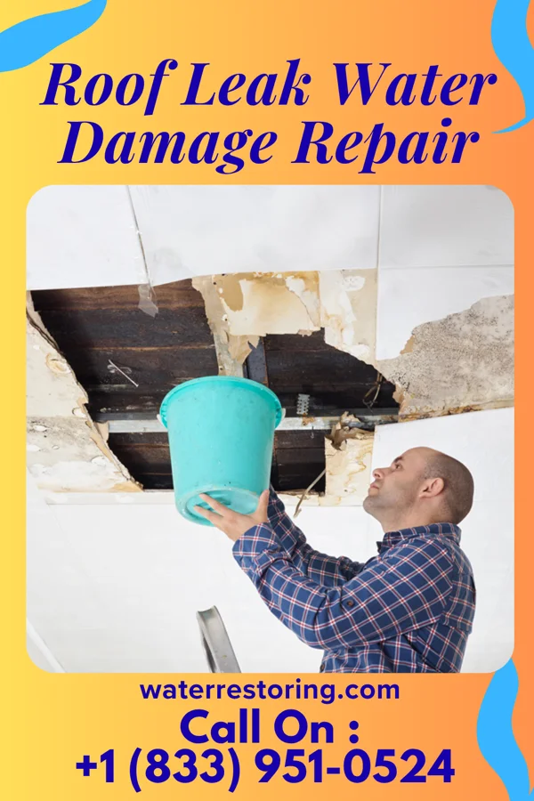 Roof Leak Water Damage Repair in Patton Village, TX